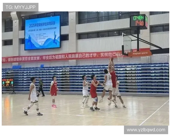 焦作篮球点燃城市激情全民参与共筑团队精神的赛场传奇篮球梦想新篇章